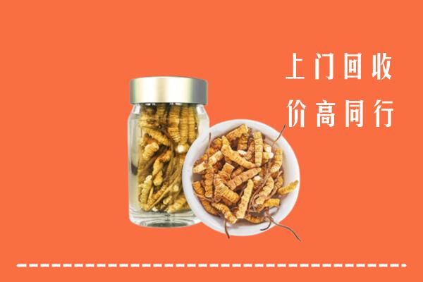 大兴安岭回收冬虫夏草