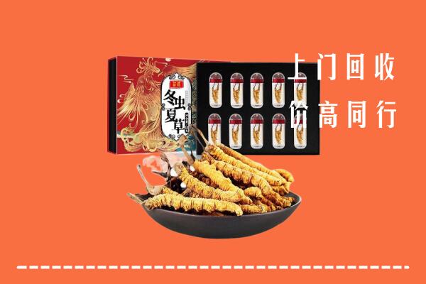 大兴安岭回收虫草
